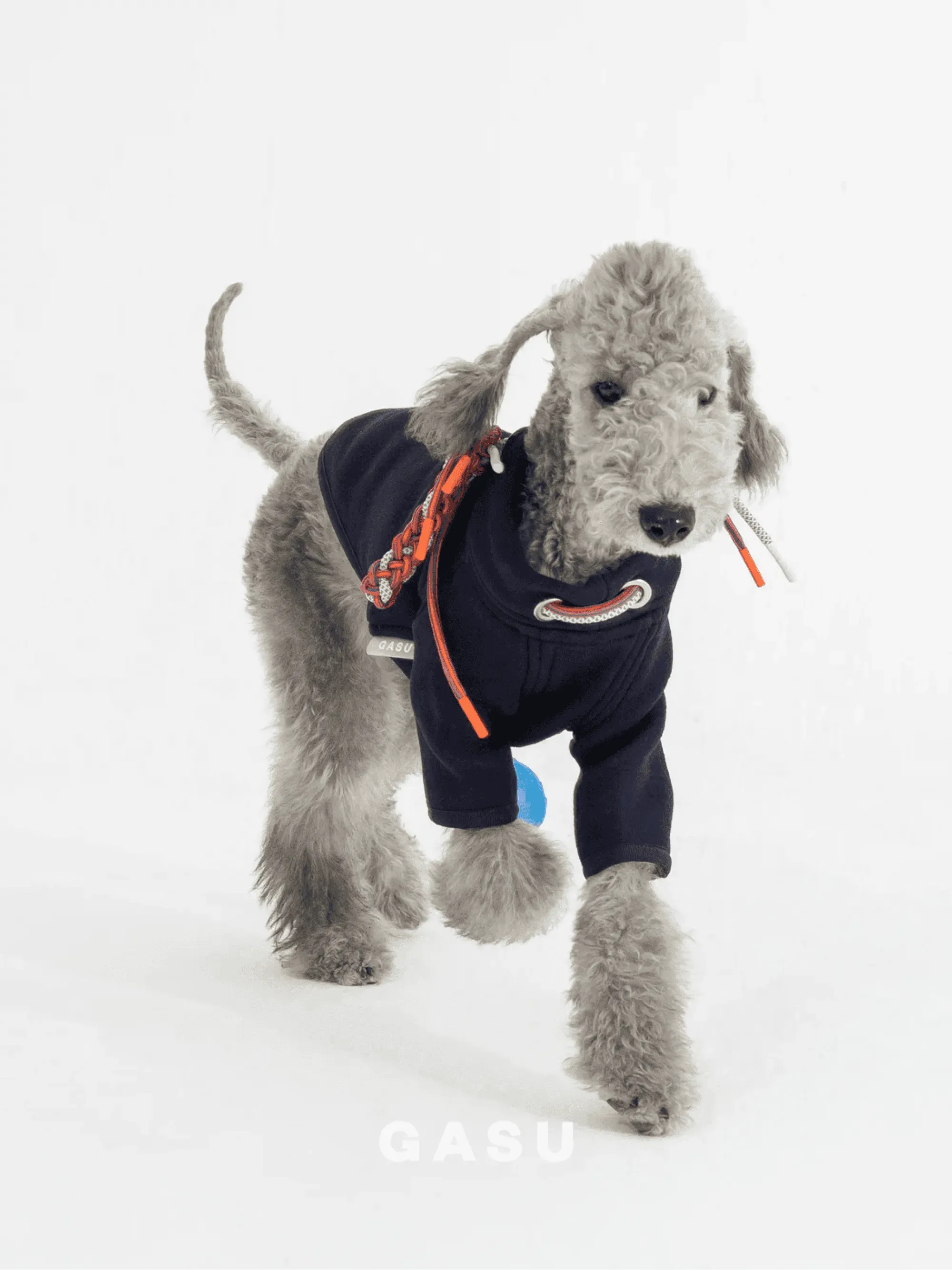 2-Leg Cotton DIY Dog Pullover