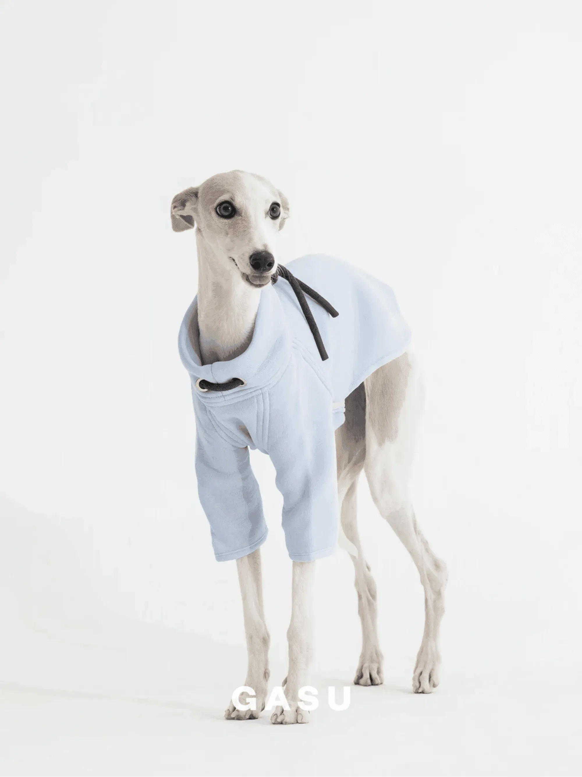 2-Leg Cotton DIY Dog Pullover