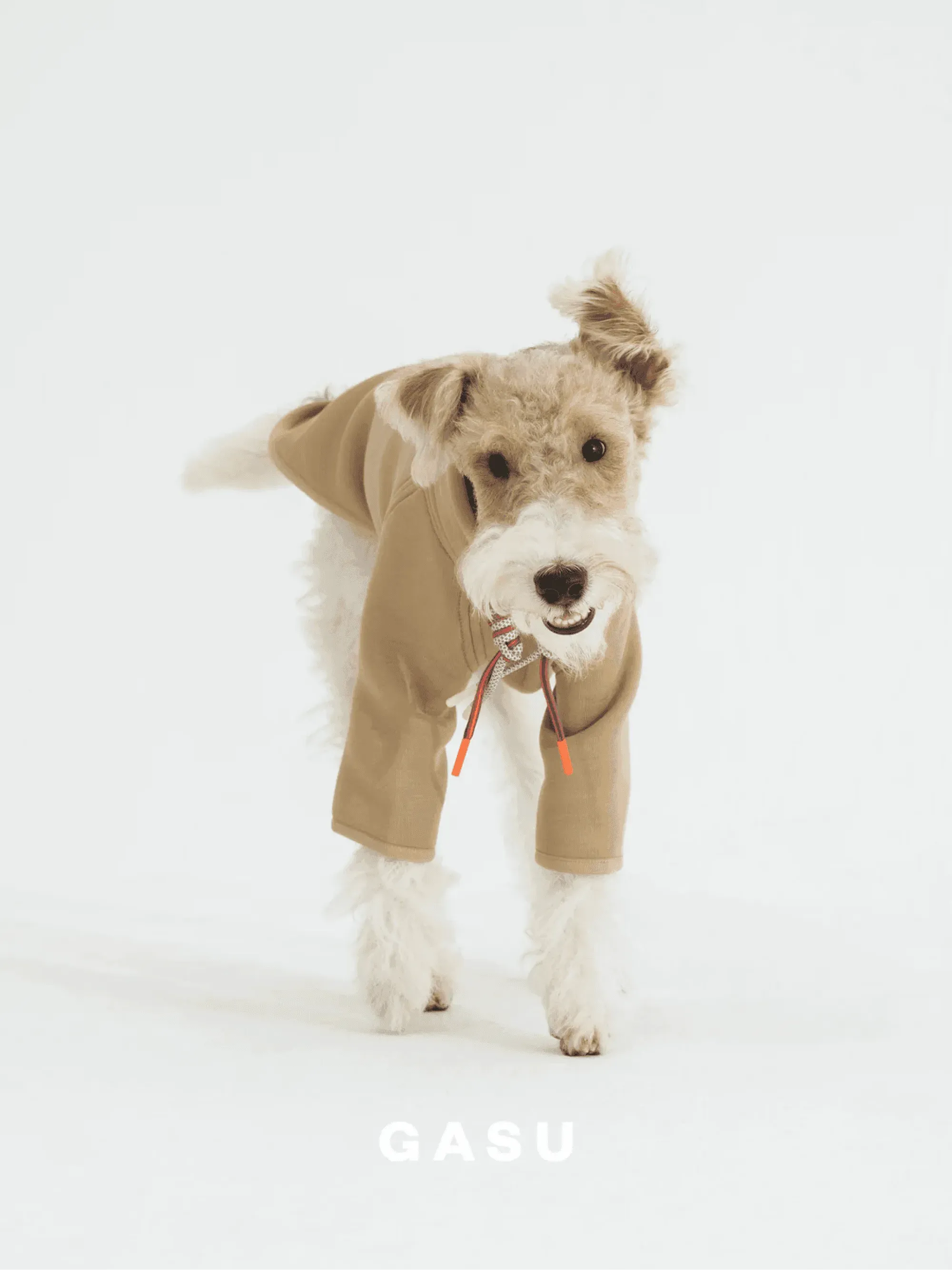 2-Leg Cotton DIY Dog Pullover