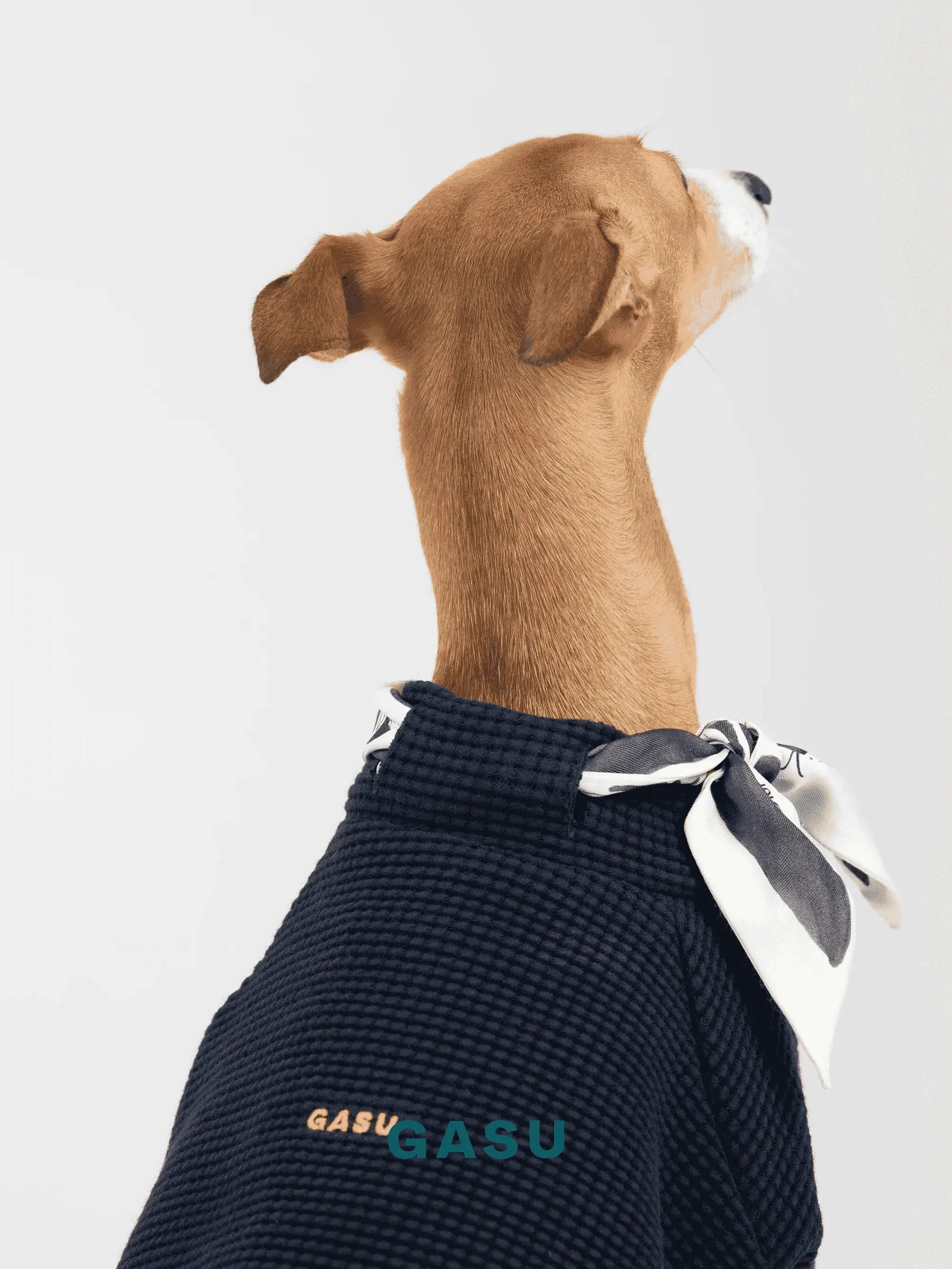 2-Leg Cotton DIY Dog Pullover