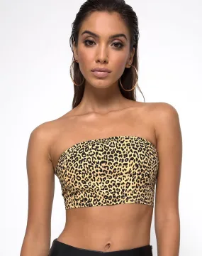 Nolia Tube Top in Rar Leopard